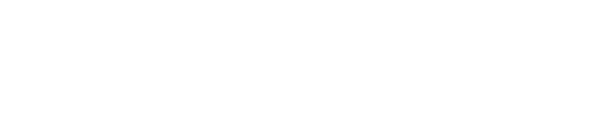 Euroking